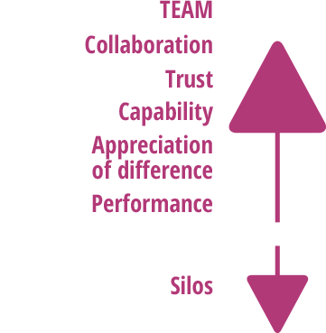 Team Benefits